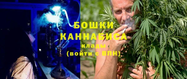 винт Богданович